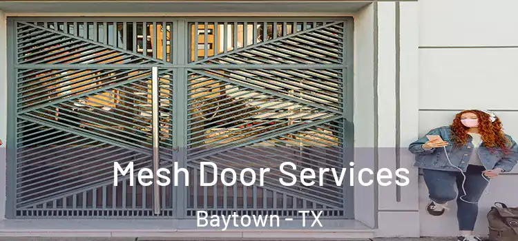 Mesh Door Services Baytown - TX